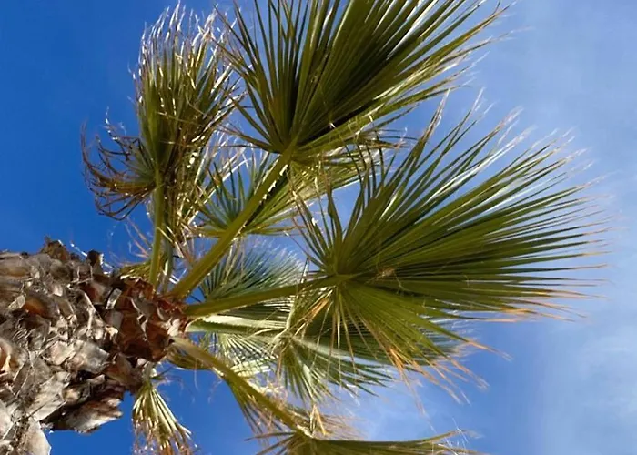 La Casa De Emila * Torrevieja